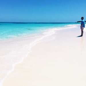 Meet your Posher, Hunter